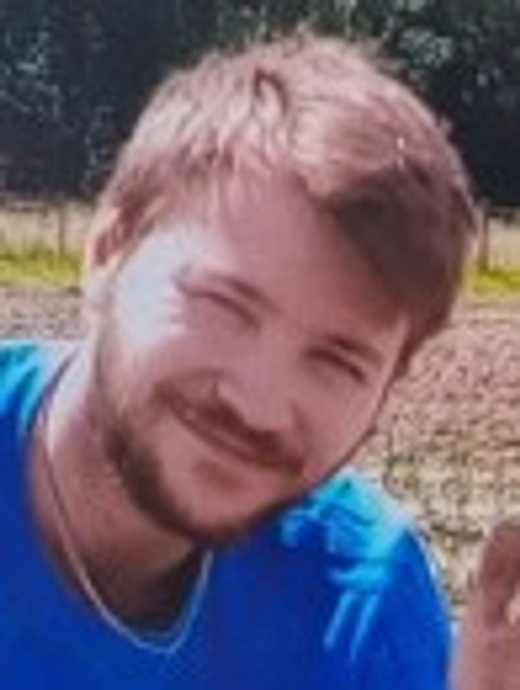 Vermist - Filip David